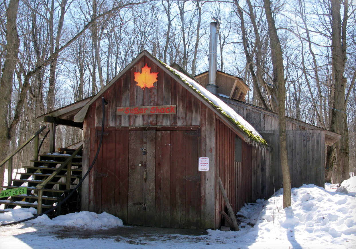 Maple Syrup Time! Join the Self -Guided Tour!