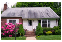 Black Streaks on Your Roof?
