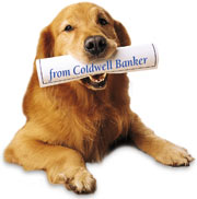 Dog News