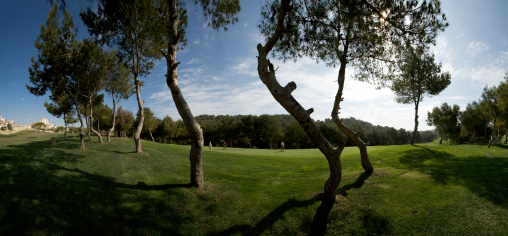 golf course golf course
