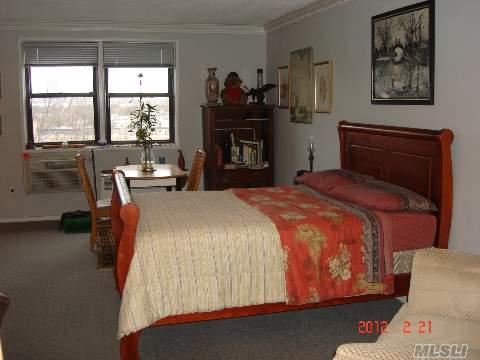 Charming, Spacious Studio Co-op For Sale in Howard Beach
