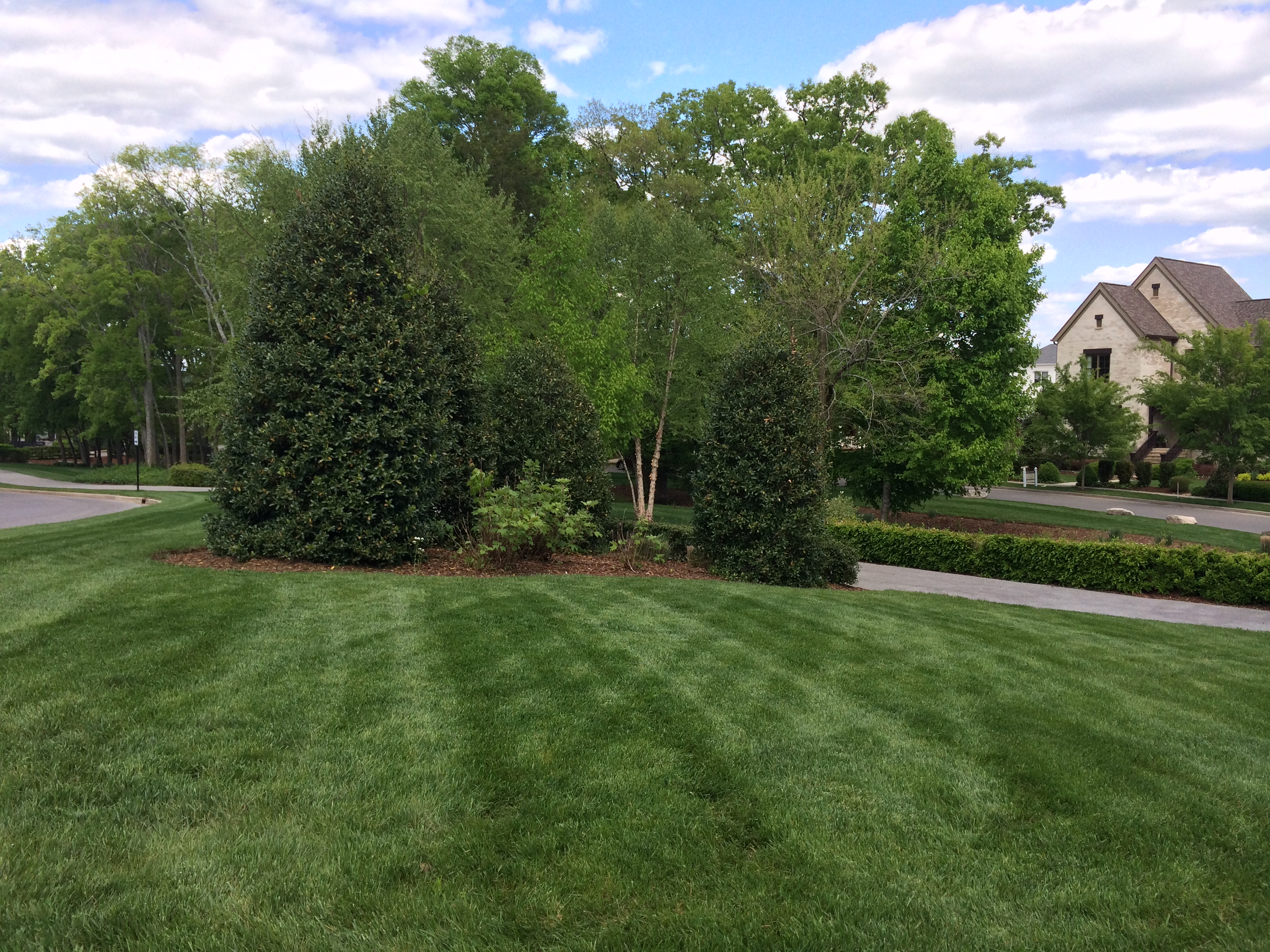 Westhaven's Stonewater Blvd Pathway in Spring