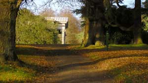 Rural Property